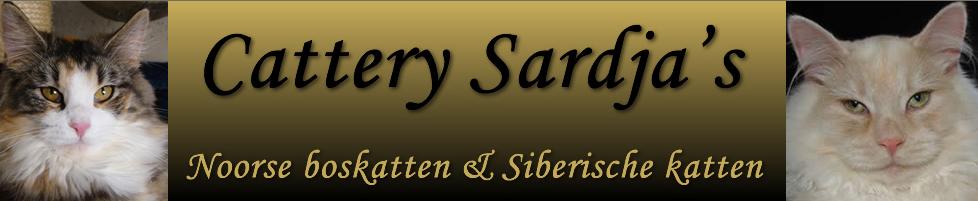 Cattery Sardjas